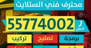 فني ستلايت