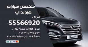 متخصص هيونداي