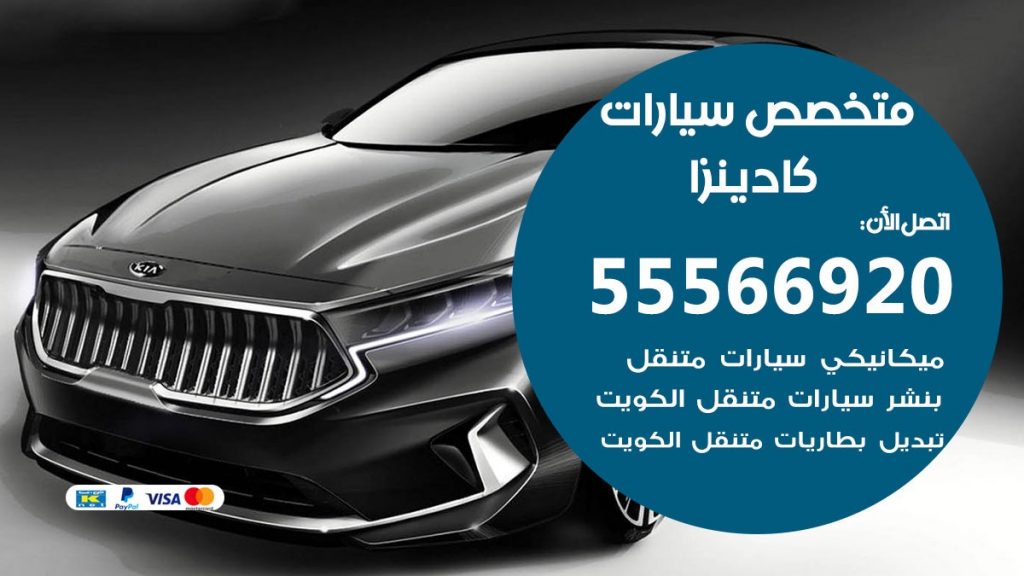 متخصص كادينزا