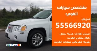متخصص انفوي
