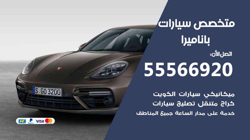 متخصص باناميرا