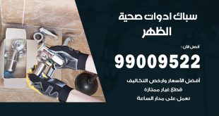 فني صحي الظهر