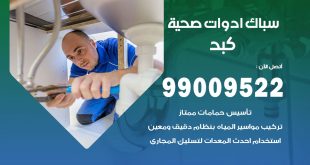 فني صحي كبد