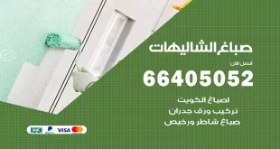 صباغ الشاليهات